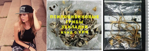 молекула духа Бронницы