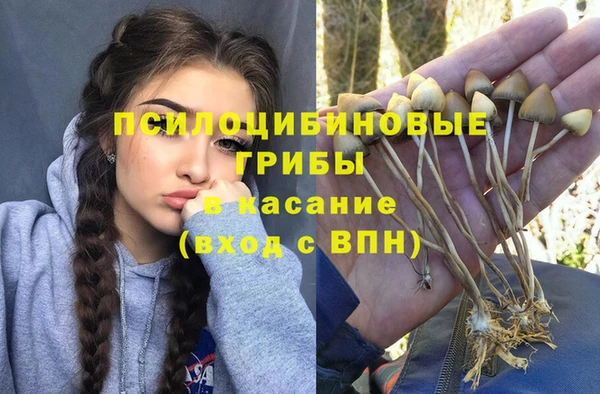 каннабис Бородино