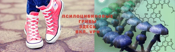 СК Бугульма