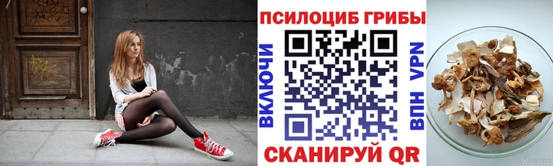 Галлюциногенные грибы GOLDEN TEACHER  наркота  Кировск 